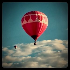 Meet your Posher, William